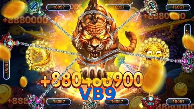 VB9